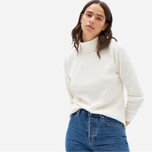 Everlane waffle knit organic cotton turtleneck